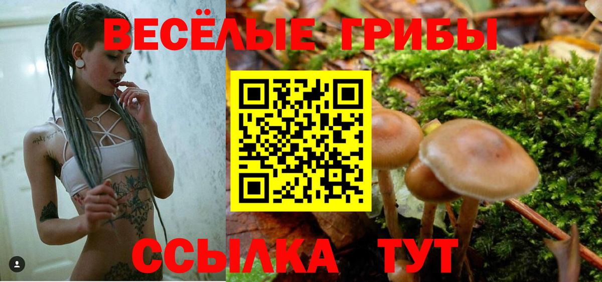 Зима  Псилоцибиновые грибы Cubensis  Галлюциногенные грибы прущие грибы  Вход с VPN 